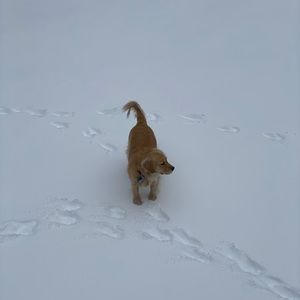 Meet your Posher, Zack